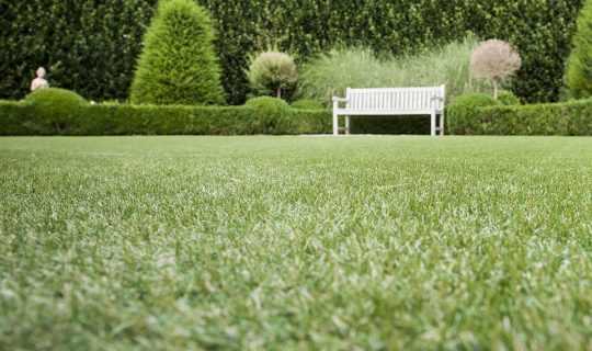 White bench on artificial grass