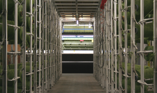 artificial grass factory