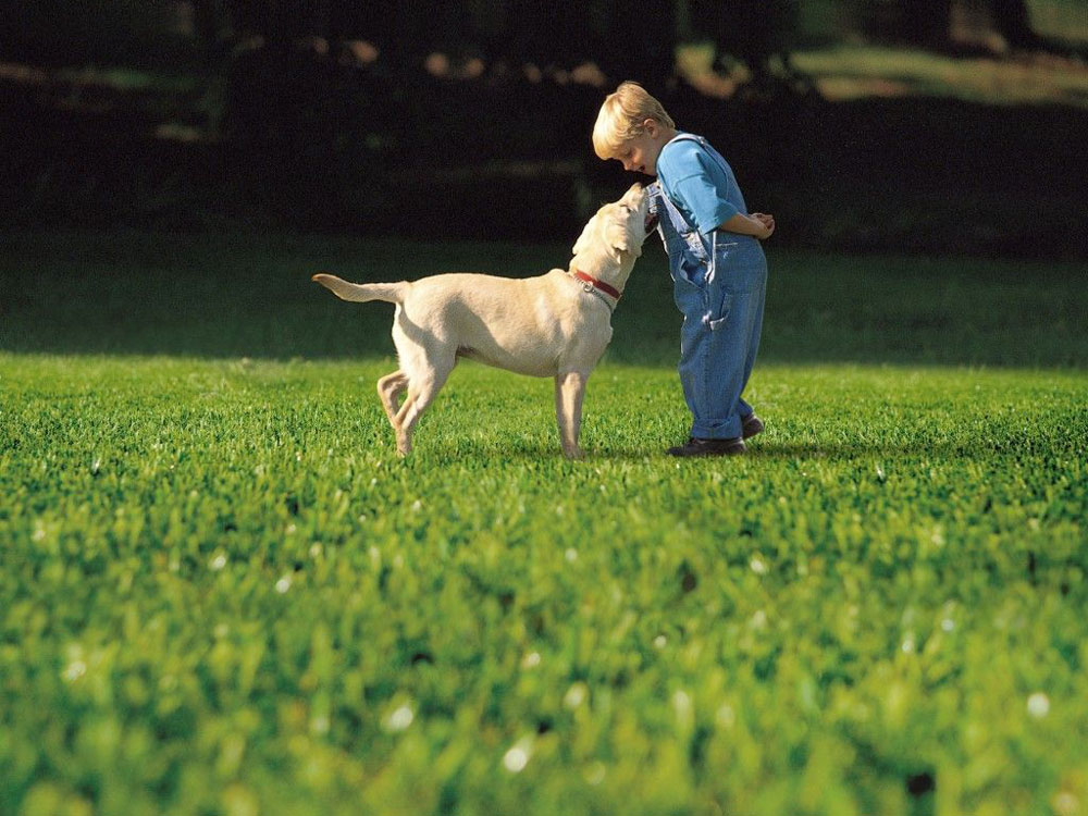 A child and a dog on fake grass
