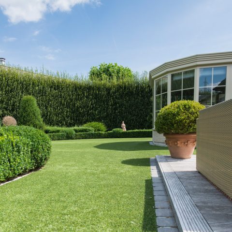 Guide to Choosing Namgrass Artificial Grass